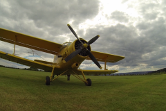 vlcsnap-2014-07-11-13h54m49s168